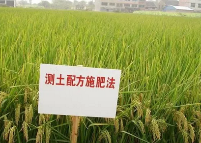 測(cè)土施肥儀器的特點(diǎn)有哪些方面，測(cè)土儀的作用